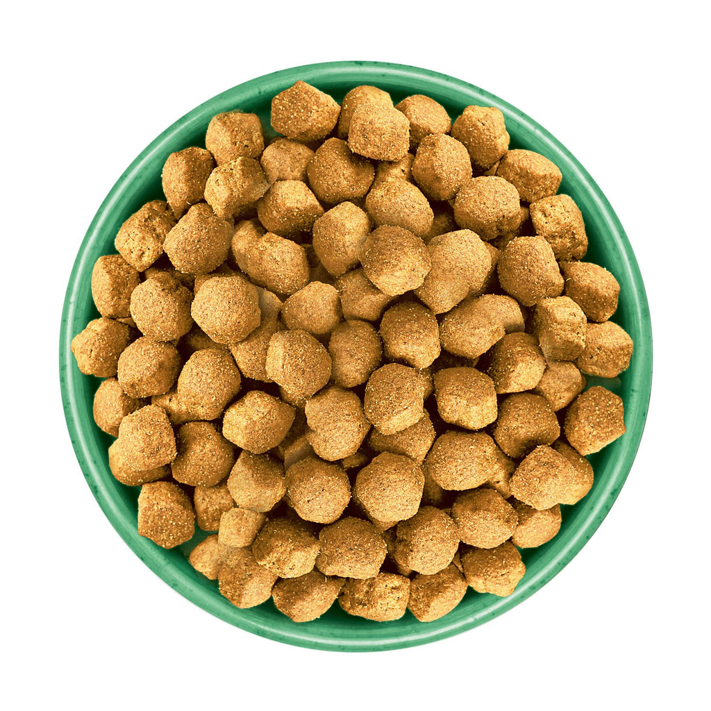 James Wellbeloved Junior Large Breed Dry Dog Food (12kg) – Hypoallergenic Turkey & Rice