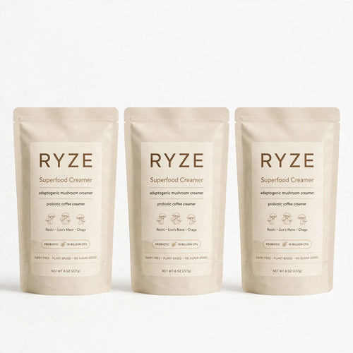 3 Pack of RYZE Superfood Probiotic Creamer with 6 Organic Adaptogenic Mushrooms