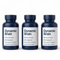 Pack of 3 Stonehenge Health Dynamic Brain Supplement Memory Focus 60 Capsules